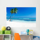 Tropical Sea 