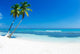 Tropical Sea 
