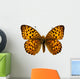 Butterfly Isolated on the White 