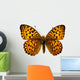 Butterfly Isolated on the White 
