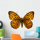 Butterfly Isolated on the White 
