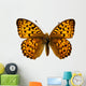 Butterfly Isolated on the White 