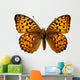Butterfly Isolated on the White 
