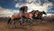 wild jump bay horses Wall Mural