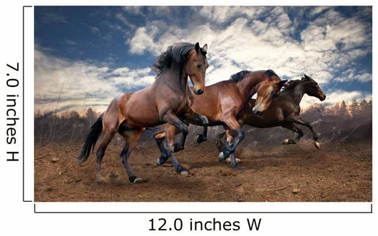 wild jump bay horses Wall Mural