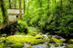 Great Smoky Mountain National Park 