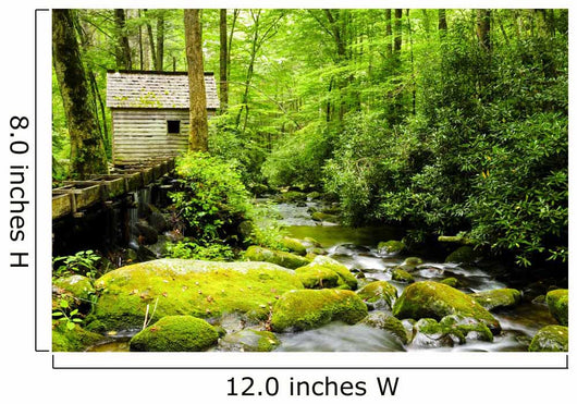 Great Smoky Mountain National Park 