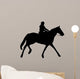 Horseback Riding Silhouette With Clipping Path 