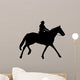 Horseback Riding Silhouette With Clipping Path 