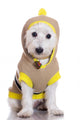 West Highland White Terrier Dog in a Sweater Wall Decal