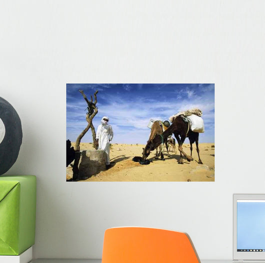 Camels Drinking Wall Decal