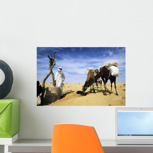 Camels Drinking Wall Decal