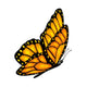 Flying butterfly 