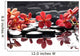 Branch Red Orchid With Zen Stones Reflection 