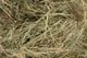 Hay, close up 