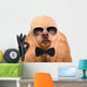 Dog Isolated on White Wall Decal