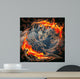 The fire dragon 