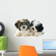 Puppies Shitzu Wall Decal