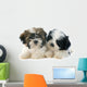 Puppies Shitzu Wall Decal
