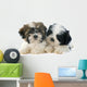 Puppies Shitzu Wall Decal