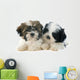 Puppies Shitzu Wall Decal