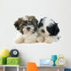 Puppies Shitzu Wall Decal