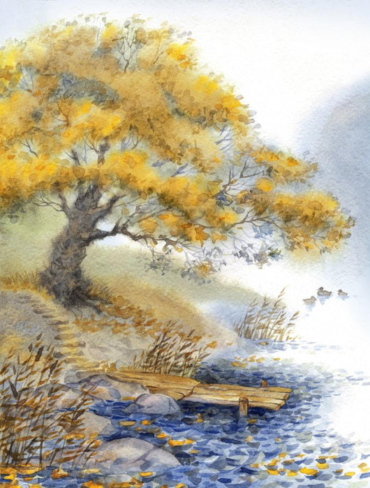 Old Tree Near the Pond 