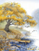 Old Tree Near the Pond 