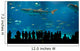 World's largest acrylic aquarium Wall Mural