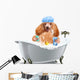 Dog Washes 