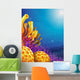 Beautiful corals under the sea 