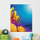Beautiful corals under the sea 