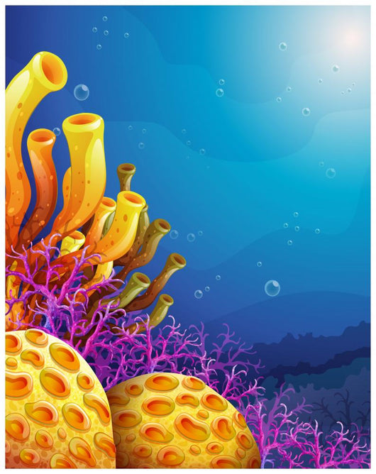 Beautiful corals under the sea 