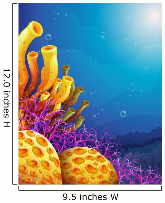 Beautiful corals under the sea 