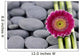Gerbera and Thin Bamboo Grove on Zen Pebbles 