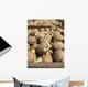 Seed-potatoes Wall Mural