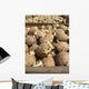 Seed-potatoes Wall Mural