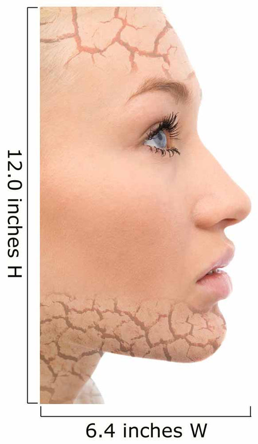 Portrait of Beautiful Woman With Face Care Wall Decal