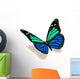 3D Turquoise and Blue Butterfly Wall Decal