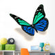 3D Turquoise and Blue Butterfly Wall Decal