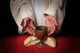 The hands of Jesus offering the Communion wine and bread Wall Mural