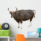 Banteng Wall Decal