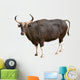 Banteng Wall Decal