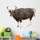 Banteng Wall Decal