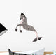 Hippocampus Mermaid's Horse 