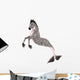Hippocampus Mermaid's Horse 
