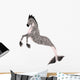 Hippocampus Mermaid's Horse 
