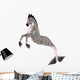 Hippocampus Mermaid's Horse 