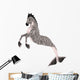 Hippocampus Mermaid's Horse 