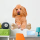 Dog with a Bone Wall Decal